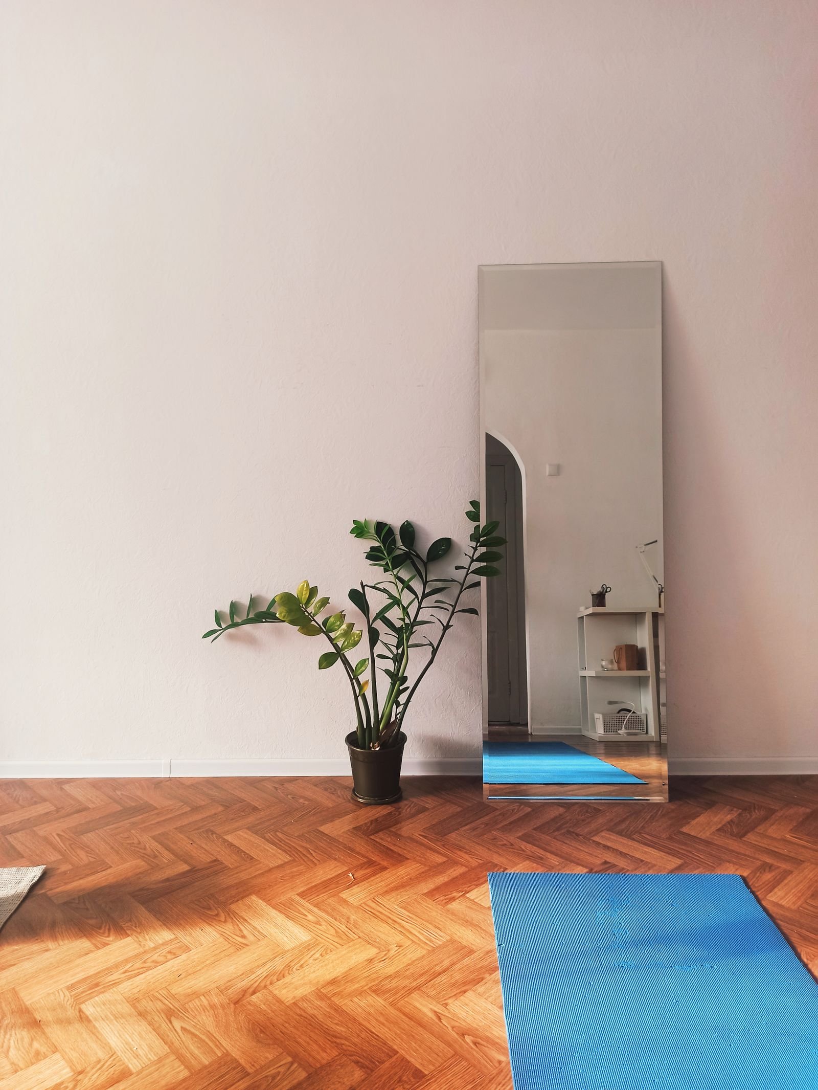 Doga: tapete de yoga azul estendido em ambiente calmo e organizado, com planta ao lado