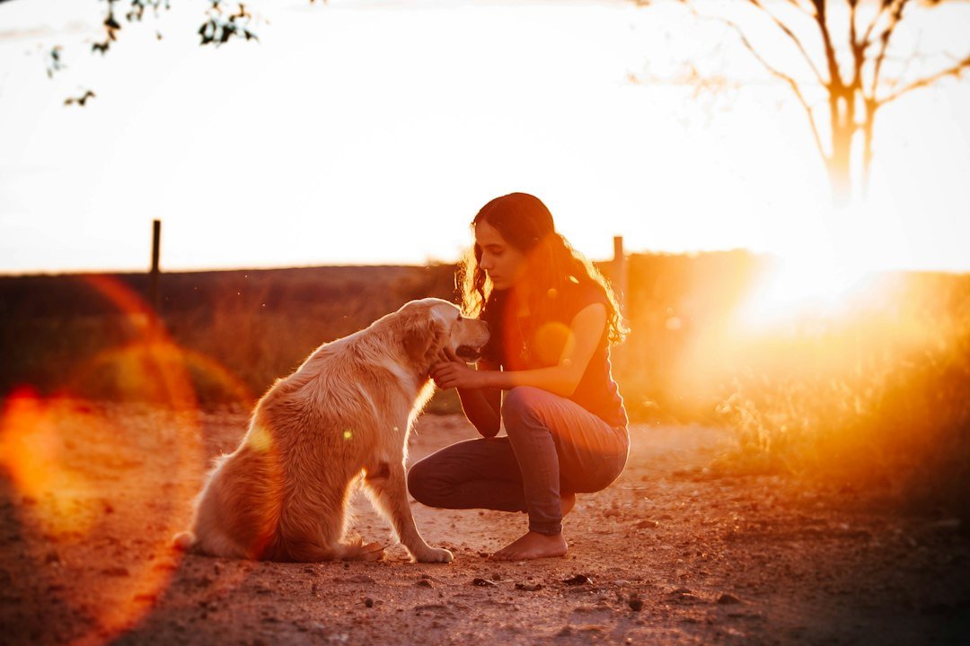 Doga: tutora agachada ao pôr do sol acariciando cachorro golden retriever
