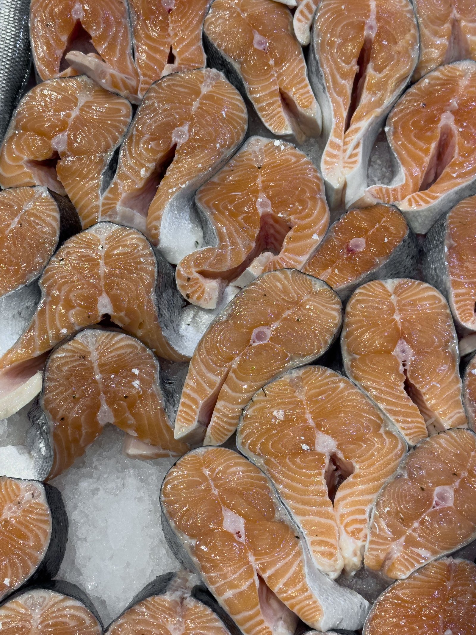 Ômega 3 para cachorro presente em filés de salmão fresco, uma das principais fontes marinhas do nutriente