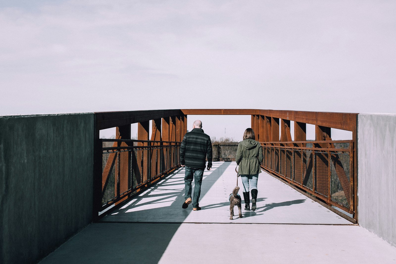 Guarda do pet no divórcio: casal caminhando lado a lado com o cachorro na coleira sobre uma ponte