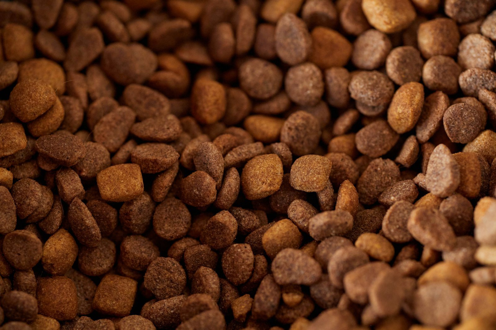 Ração hipoalergênica para cachorro: close de croquetes de ração seca marrons empilhados
