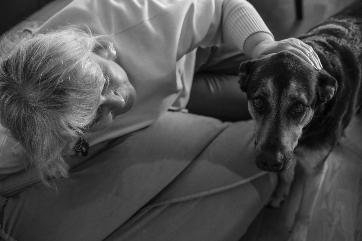 Massagem para cachorro: tutora idosa fazendo carinho na cabeça de um cão sênior no sofá