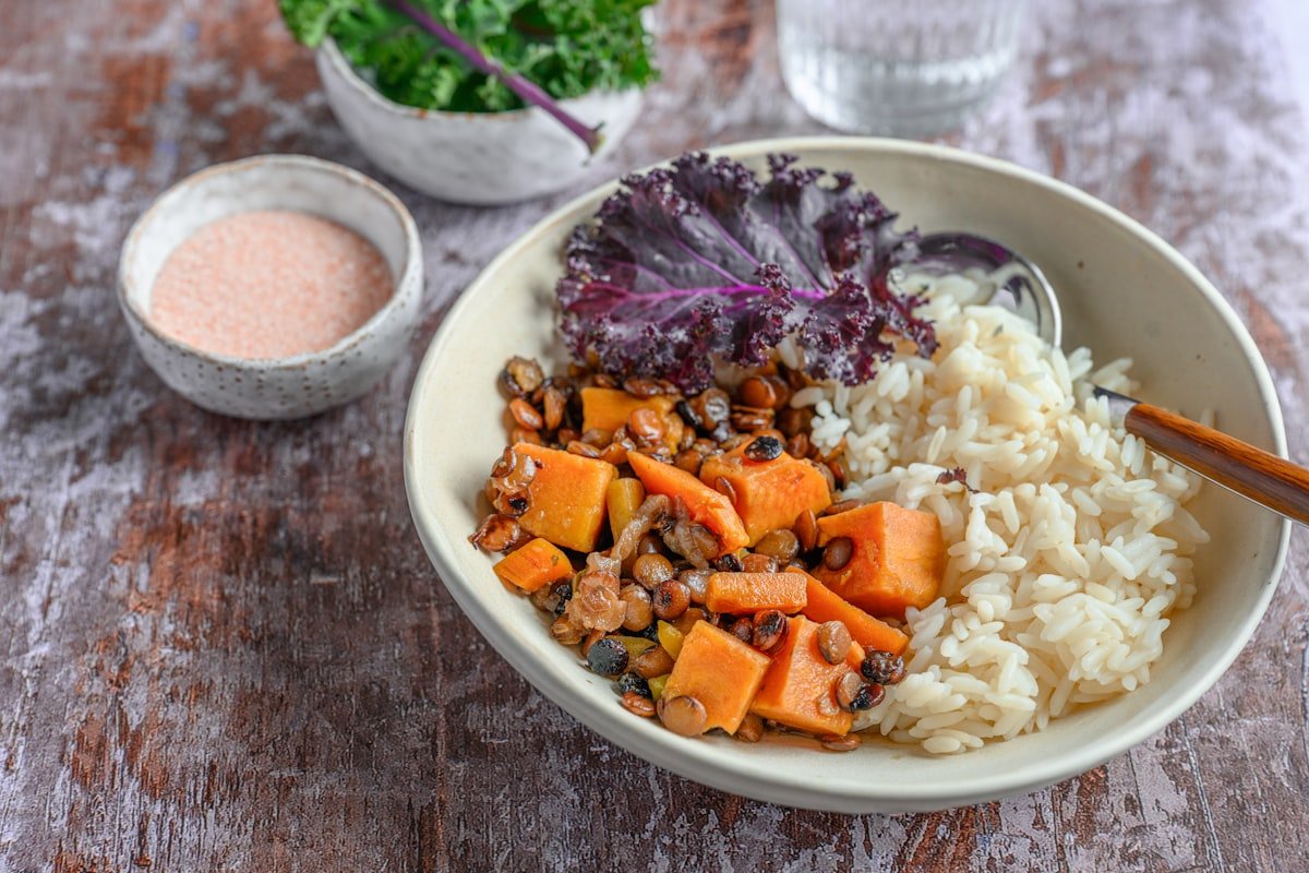 Nutrientes essenciais para cães: prato fundo com arroz, abóbora em cubos e legumes cozidos