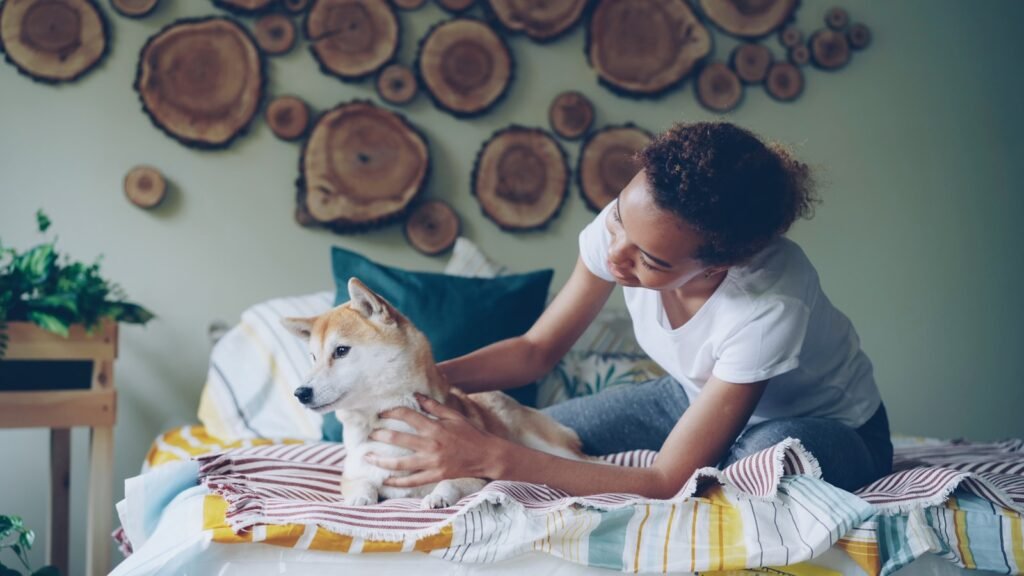 Piodermite canina: tutora acaricia e observa o pelo do cachorro deitado na cama
