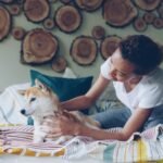 Piodermite canina: tutora acaricia e observa o pelo do cachorro deitado na cama