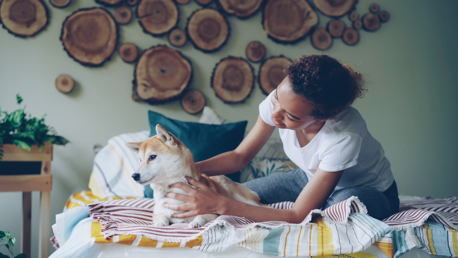 Piodermite canina: tutora acaricia e observa o pelo do cachorro deitado na cama