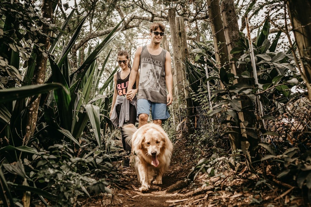 Tipos de carrapato em cachorro: casal caminhando com o cão por trilha na mata fechada